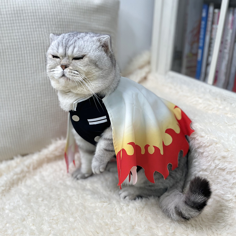 Demônio Slayer Pet Cosplay Ves - Cosplay Flame Prop avaliação e preço