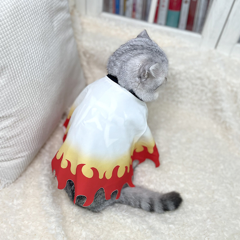 Demônio Slayer Pet Cosplay Ves - Cosplay Flame Prop avaliação e preço