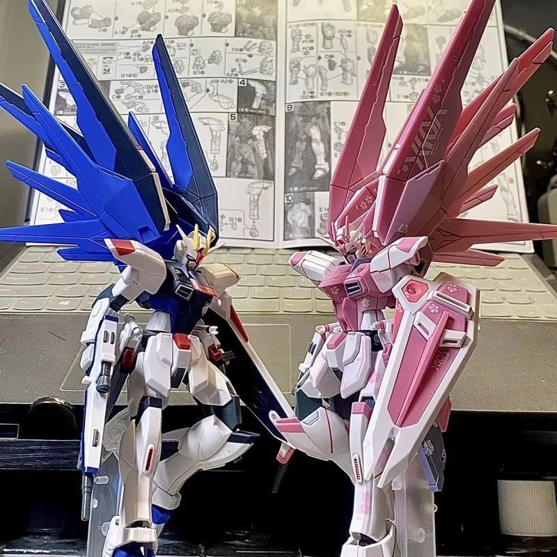 Jms hg 1/144 ZY-06 liberdade a - Bandai Gundam Hg avaliação e preço